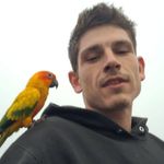 Daniel Ingle - @daniel_ingle - Instagram