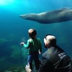 Daniel Ingraham Jr - @dlijr1313 - Instagram