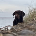 Daniel Inguanzo - @guanzo_3 - Instagram