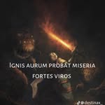 Danni - @daniel_inns - Instagram