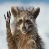 Daniel Inocencio - @daniel.inocencio15 - TikTok