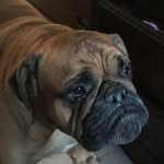 Daniel Insley - @insley.daniel - Instagram