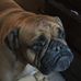 Daniel Insley - Facebook
