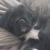 DanielAinsley - @daniel_ainsley - TikTok