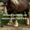 Daniel ionel - @ionu.ionu1488 - TikTok