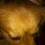 Daniel Iosif - @daniel.iosif.3597 - Instagram