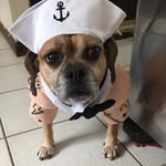 Daniel Iozzi - @iozzid - Instagram