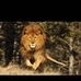 Daniel Isabell - Facebook