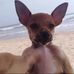 Daniel Isais - Facebook