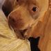 Daniel Isbell - Facebook