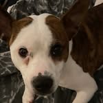 Daniel Isbell - @di30365 - Instagram