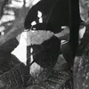 Danielis Ereu - @danielisereu - TikTok