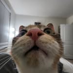 Daniel Ishida - @danielishida - Instagram