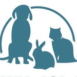 Daniel Island Animal Hospital - @danielislandvet - Instagram
