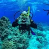 Daniel.Island - @daniel.island - TikTok