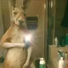 Dani_0255 - @daniel.ismael61 - TikTok