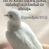 Daniel Ispas - @daniel.ispas90 - TikTok