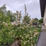 Daniel Ispas - @daniel.ispas.773 - Instagram