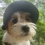 Daniel Iten - @danieliten_ti - Instagram