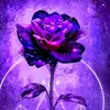 Dani Iturbe - @dani.iturbe1 - TikTok