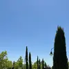 Daniel Iverson - @daniiversonn - TikTok
