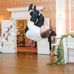 Daniel Austin Ivester - Facebook