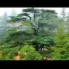 Dany Jabbour - @dany.jabbour - TikTok