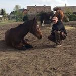 Daniel Jablonski - @danijablonski - Instagram