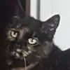 Jacek.daniel - @jacek.daniel - TikTok