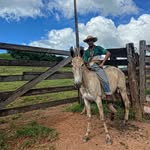 Daniel Jackson - @daniel_jacksno - Instagram