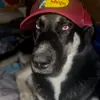 danieljaco17 - @danieljaco17 - TikTok
