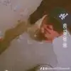 Dani - @danieljacobo722 - TikTok