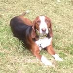 Daniel Jacoby - @daniel.jacoby.7906 - Instagram