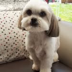 Daniel Jacquart - @papy62127 - Instagram