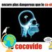 Daniel Jacquemin - Facebook