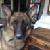 Daniele Jacquemin - Facebook