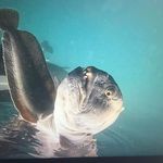 Daniel Jagiełło - @jagiello6366 - Instagram