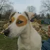 danieljagiello - @danieljagiello - TikTok