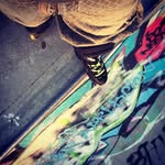 Daniel Jagt - @n31 - Instagram