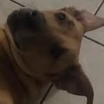 Daniel Jaimez - @jaimez5019 - Instagram