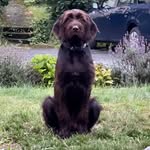 Daniel Jakobs - @jakobs_d - Instagram