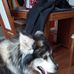 Daniel Jalbert - Facebook