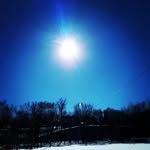 Daniel Jalbert - @aquariophileencavale - Instagram