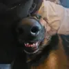 Daniel Jamerson - @daniel.jamerson - TikTok
