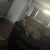 daniel jamison - @daniel.j57 - TikTok