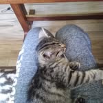 Daniel Jancik - @daniel.jancik.965 - Instagram