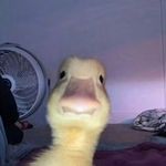 Daniel jandres - @dany230967 - Instagram