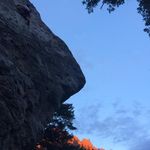 Daniel Janes - @dannybjanes - Instagram