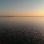 Daniel Janis Henkel - @danieljanis - Instagram
