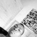 Dan Zhangah - Facebook